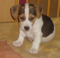 Largo